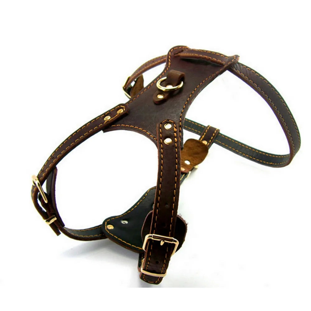 Brown  Leather Dog Harness