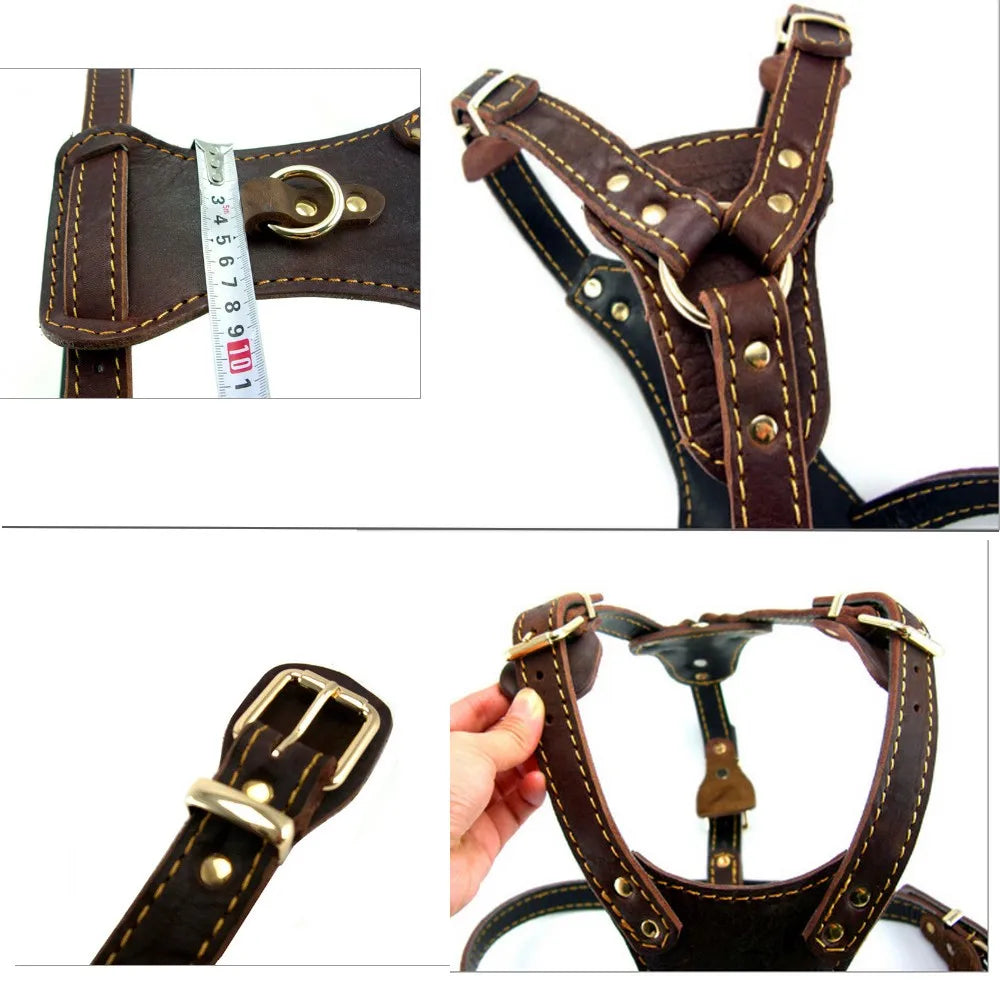 Brown  Leather Dog Harness