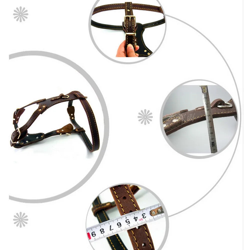 Brown  Leather Dog Harness