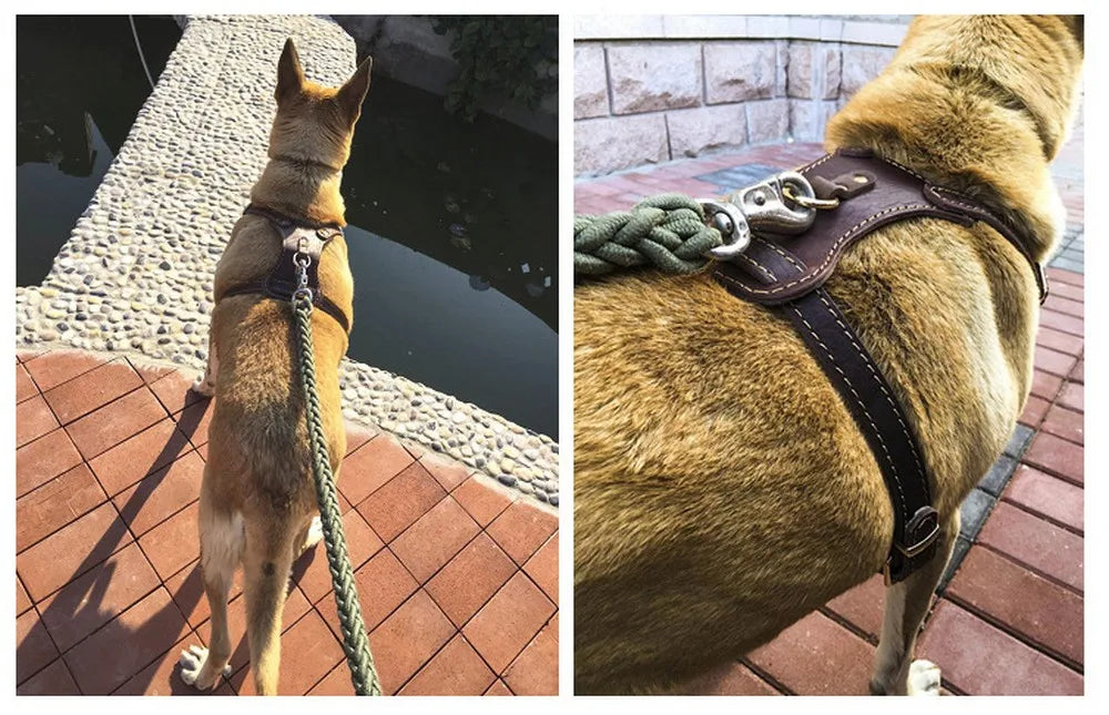 Brown  Leather Dog Harness