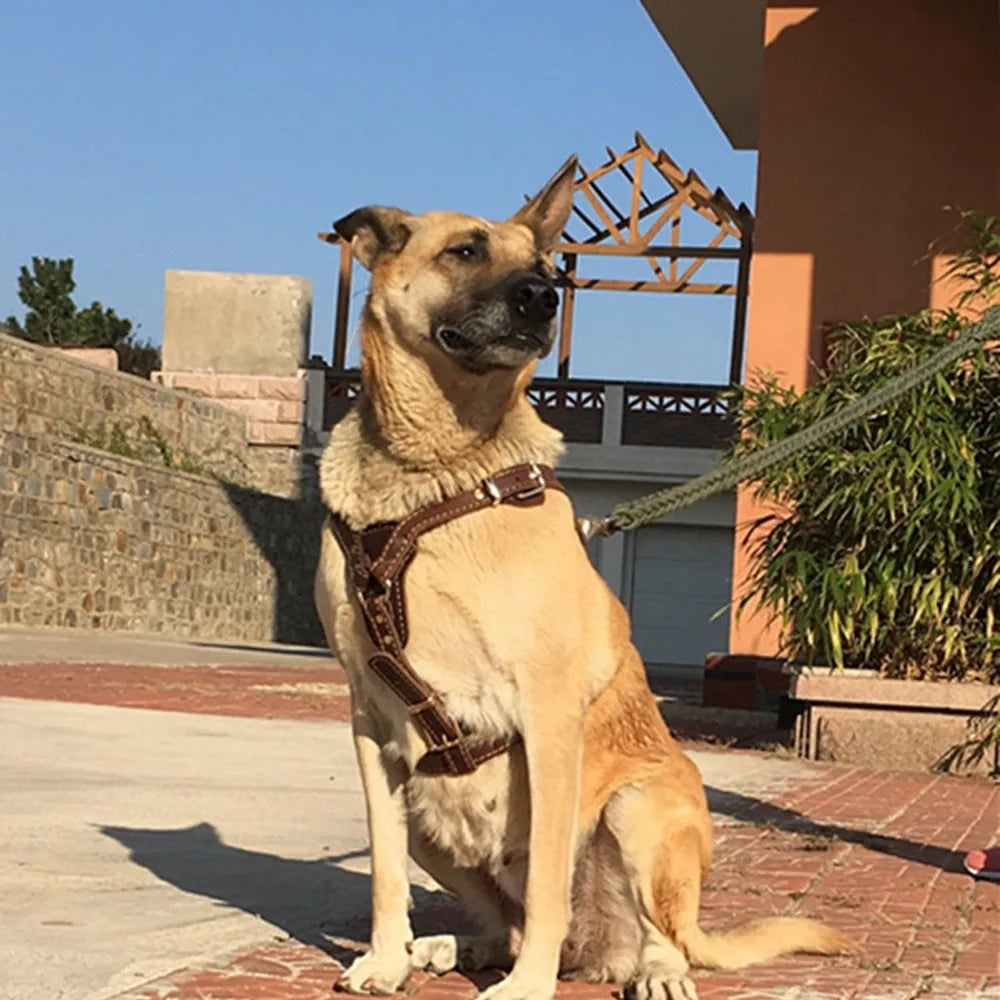 Brown  Leather Dog Harness