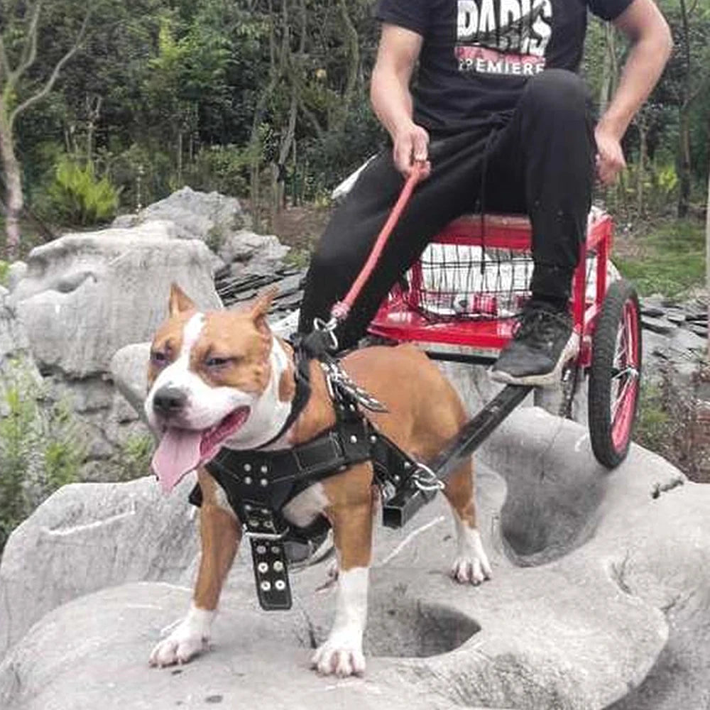 Dog Weight Pulling Harness