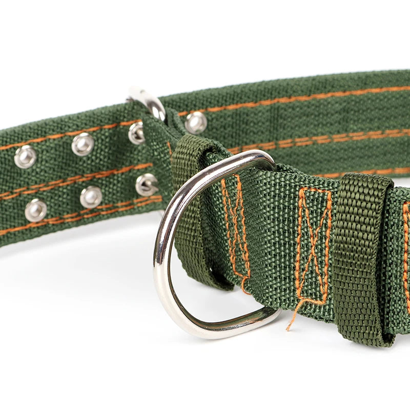 Thick Nylon Dog Collar for Puppy and Adult Dogs