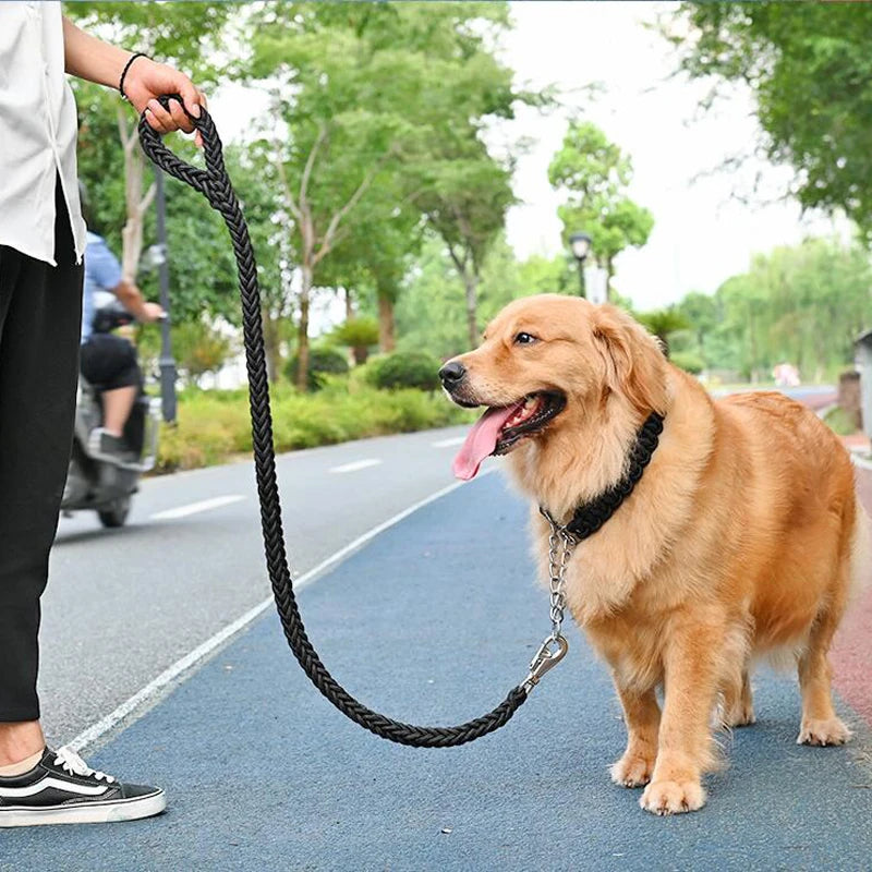 Heavy Duty Nylon Dog Leash - Durable & Strong