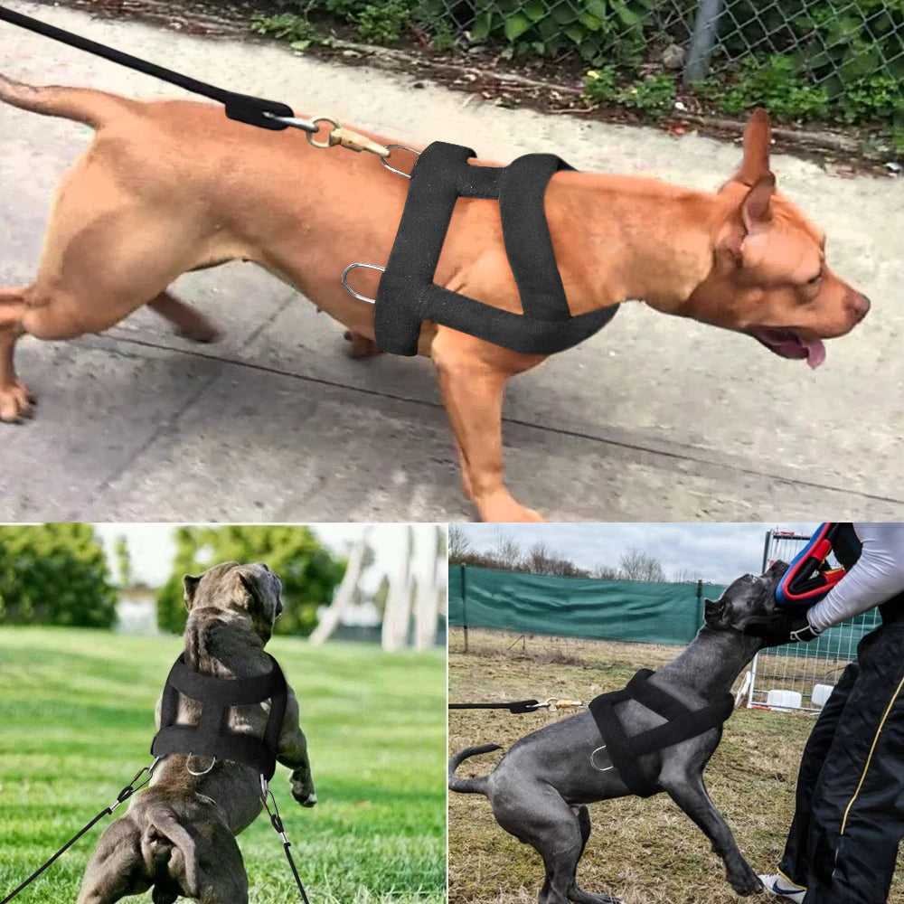 Dog Weight Pulling Harness Soft Padded Dogs Harnesses Pitbull Big Large Dogs Training Harness Pet Agility Products