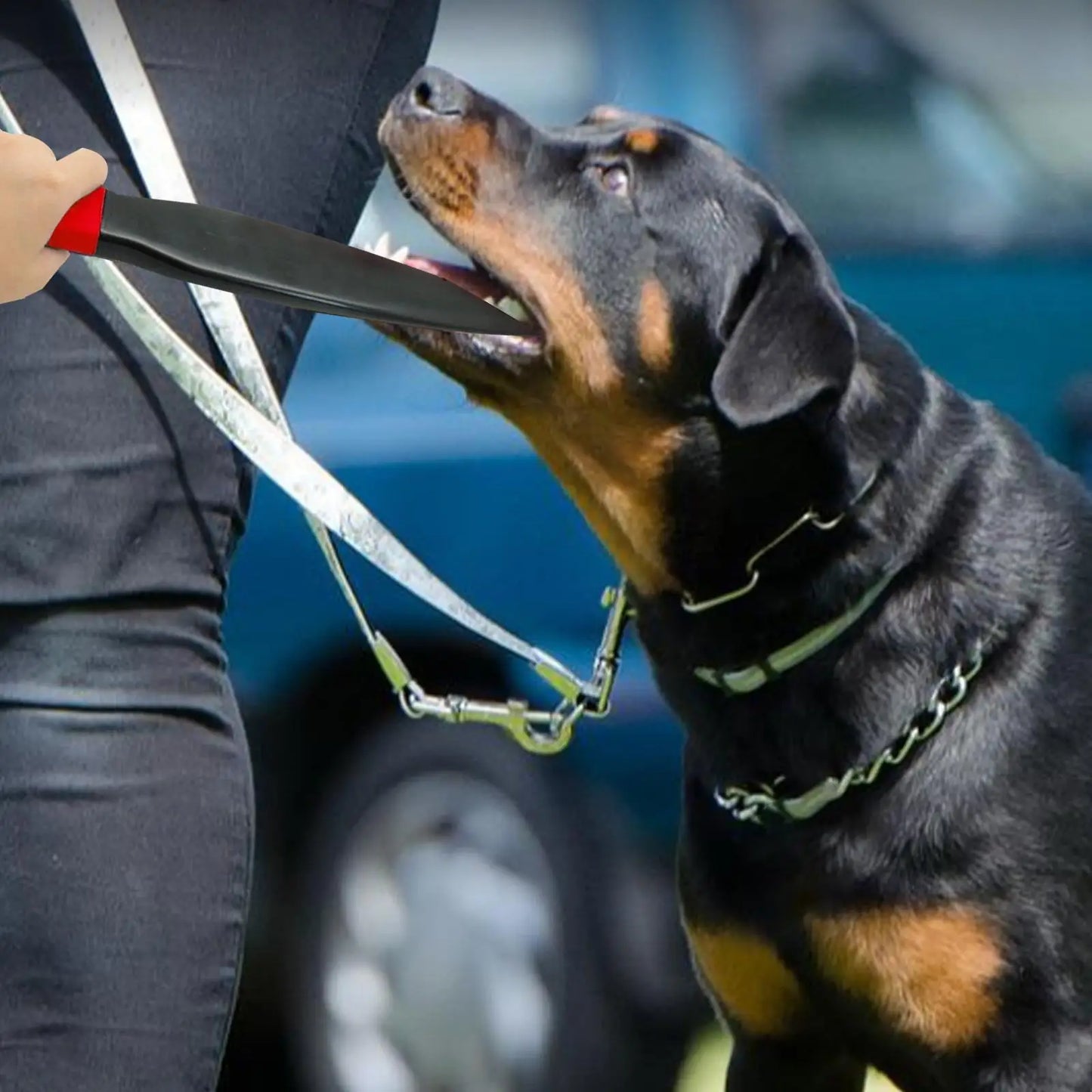 Dog Break Stick Nylon