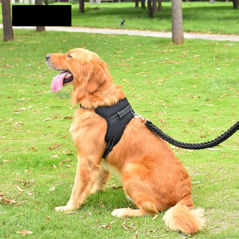 Dog Harness Adjustable Reflective Dog Harness & Leash Set