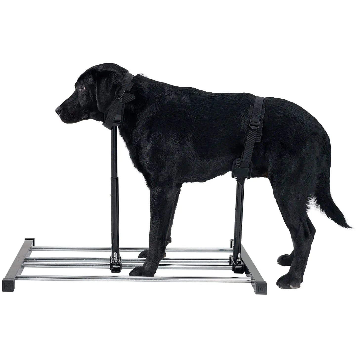 Dog Breeding Stand Stainless Steel Dog Grooming Stand with Collar Adjustable Height and Length