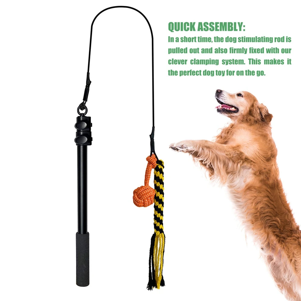 FLIRT POLE Dog Bite-resistant Durable