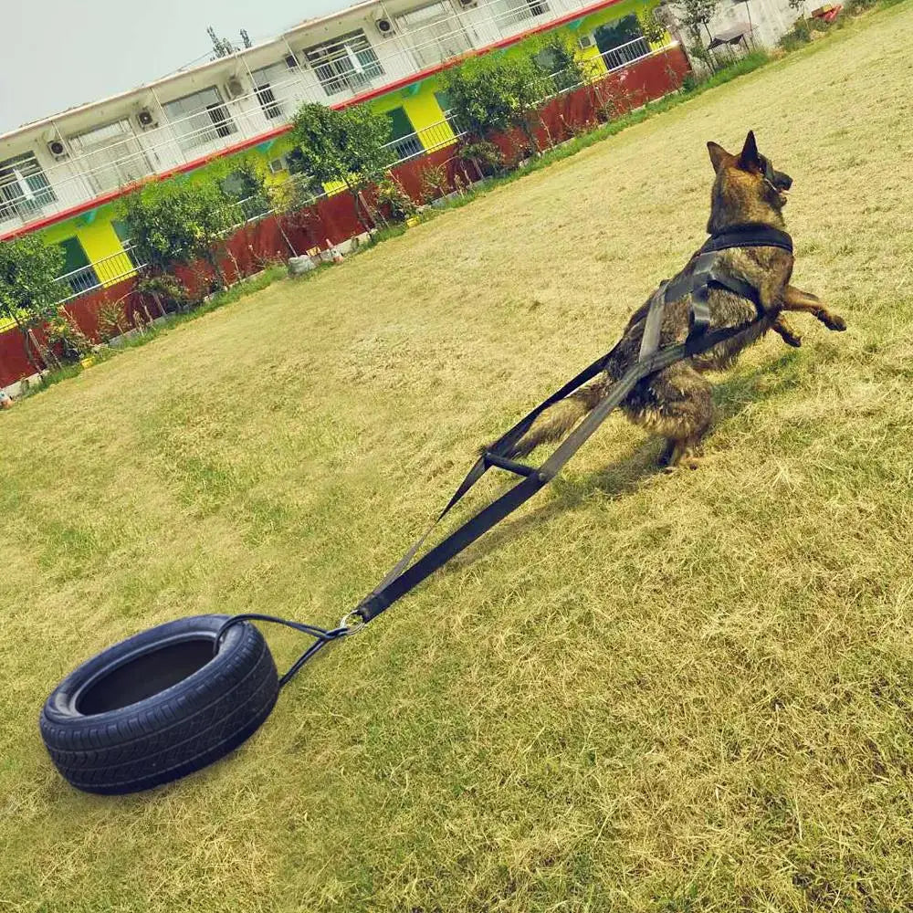 Dog Weight Pulling Harness