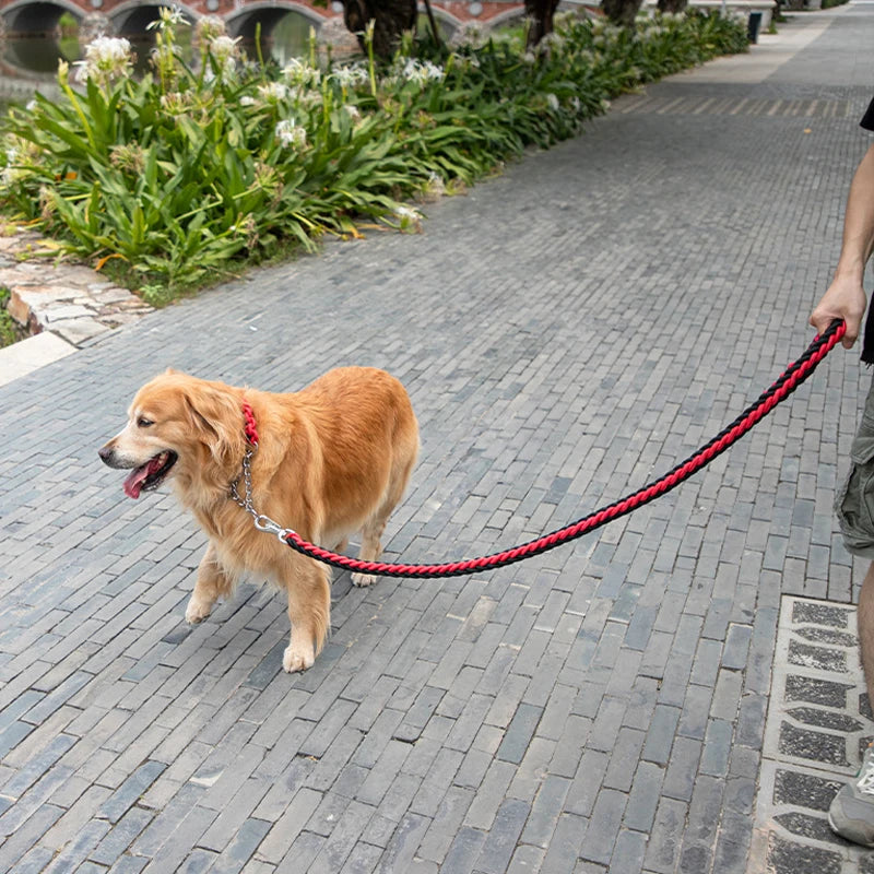 Heavy Duty Nylon Dog Leash - Durable & Strong