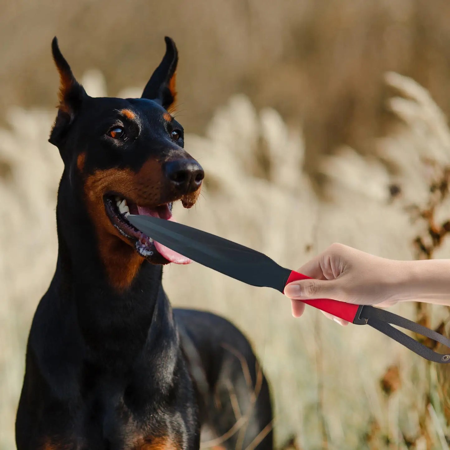 Dog Break Stick Nylon