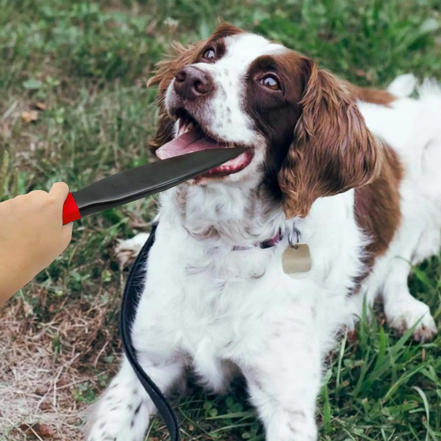 Dog Break Stick Nylon